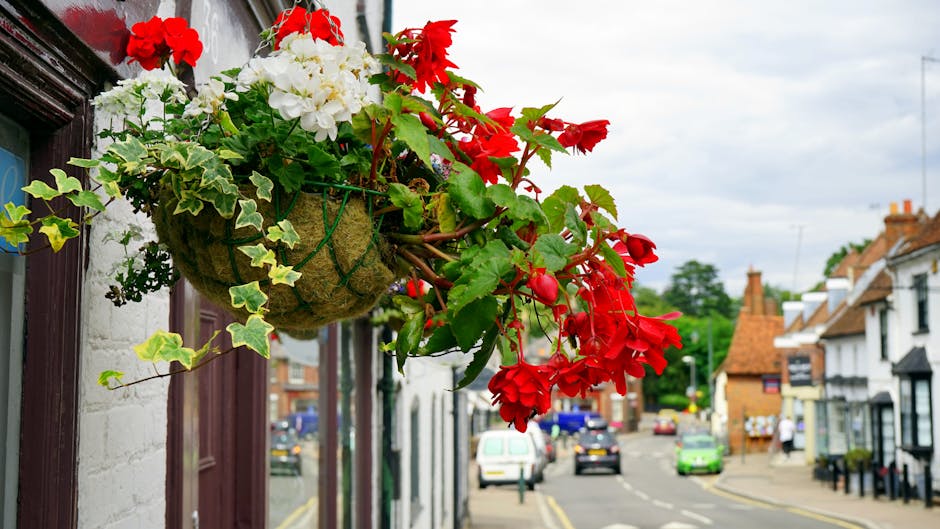 A hanging flower basket mounted on a wall in an outdoor street scene, featuring vibrant red geraniums, white hydrangeas, and lush green ivy cascading over the edge. The basket is wrapped in natural ju